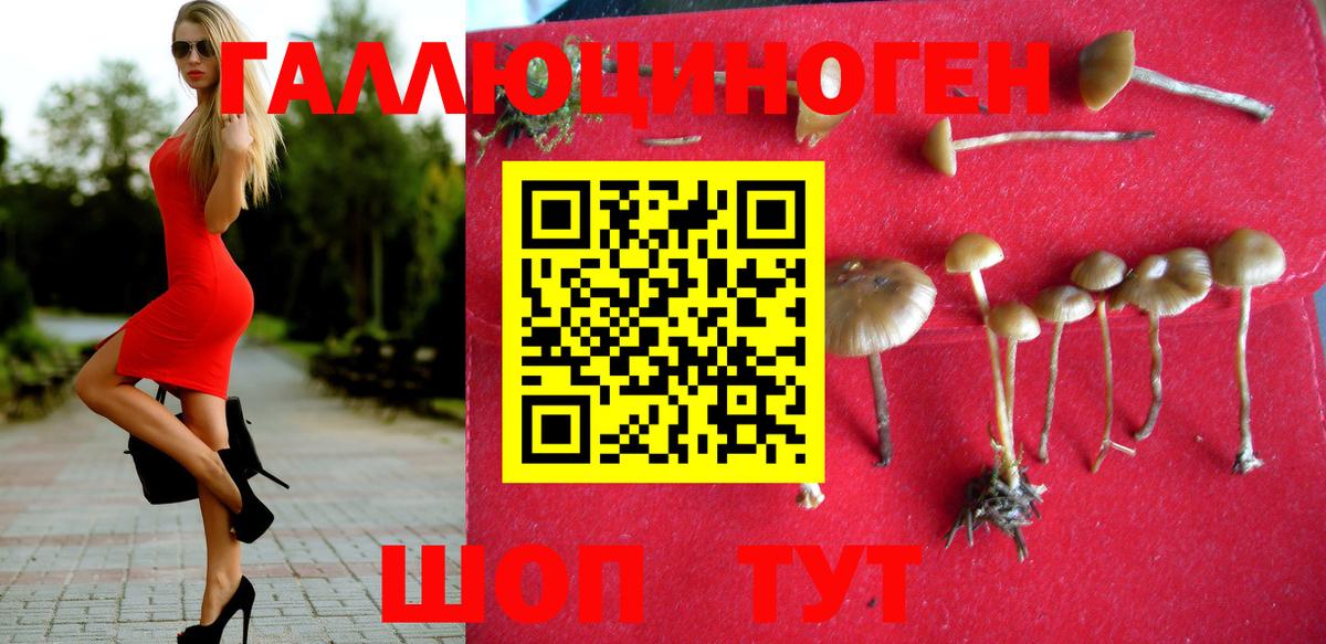 Галлюциногенные грибы мицелий  Вход с VPN  Псилоцибиновые грибы Cubensis  Донской 